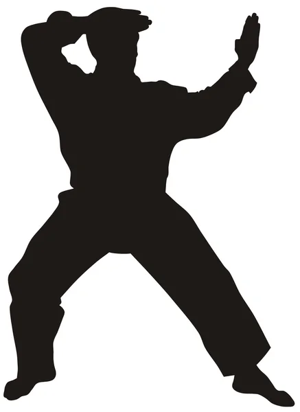 Art martial — Image vectorielle