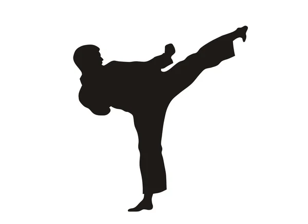 Kampfkunst — Stockvektor
