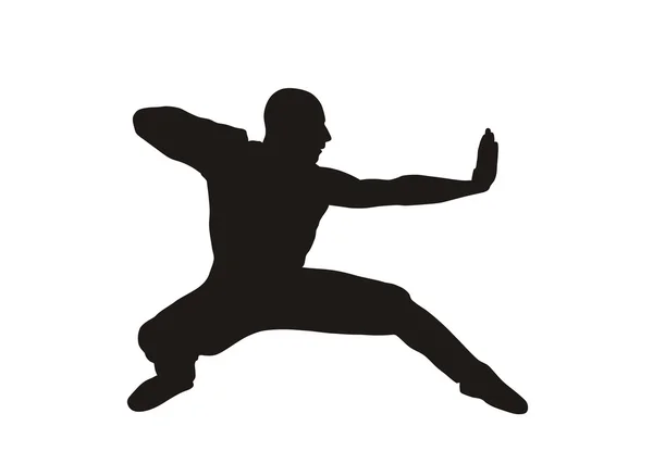 Art martial — Image vectorielle