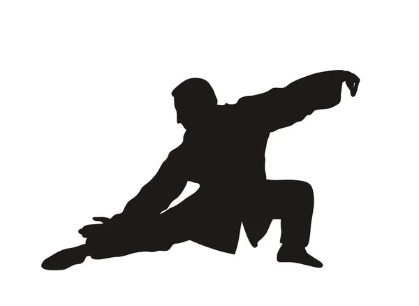 Martial art — Stock Vector