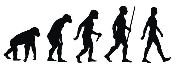 Эволюция — стоковый вектор