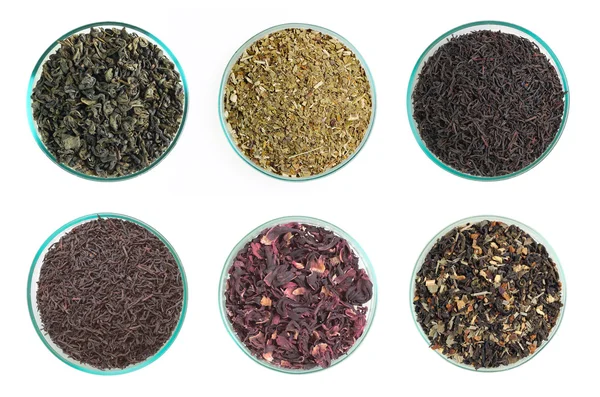 Verschiedene Arten von Tee — Stockfoto