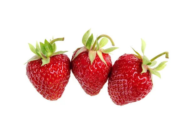 红色草莓 — 图库照片