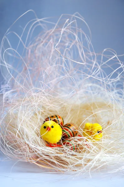 Dekoratif tavuk ve yumurta Paskalya arka plan