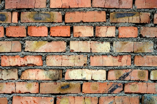 stock image Brick wall