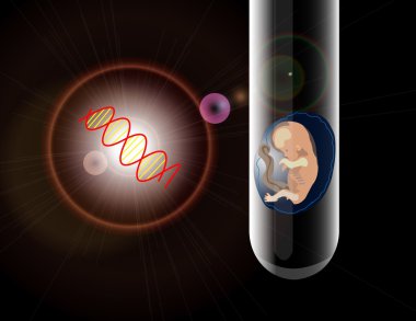In vitro fertilization clipart