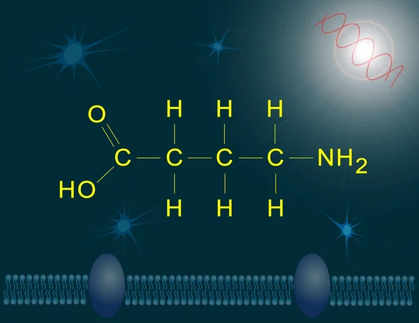 GABA neurotransmitter — Stock Photo, Image