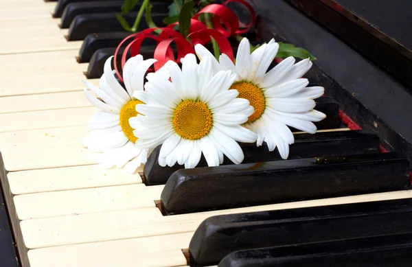 Flowers on the old piano — Stock Photo, Image