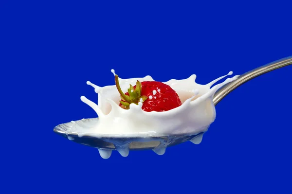 Erdbeerspritzer in Milch — Stockfoto