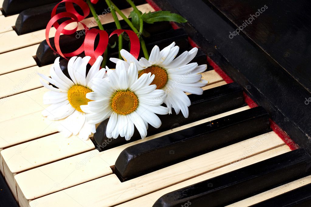 Flowers on the old piano — Stock Photo © sergeyksen 6682658