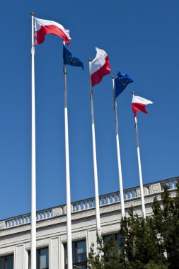 Polish and EU flags clipart