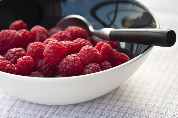 Close-up of fresh raspberries — Stock Photo, Image