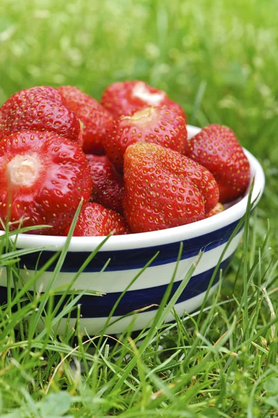 Aardbeien in kom op het gras — Stockfoto