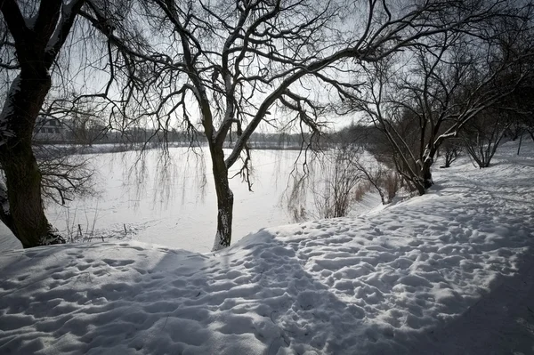 Pequeno lago no parque durante o inverno — Fotografia de Stock
