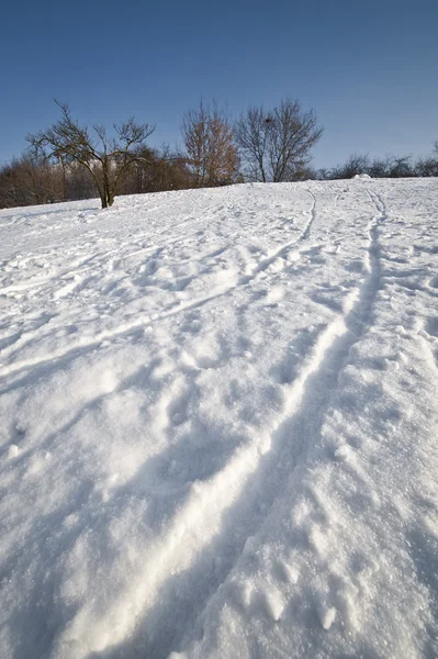 stock image Traces on the snow during winter time