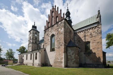 Saint martin's church opatow, Polonya