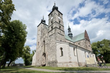 Saint Martin's Church in Opatow, Poland clipart