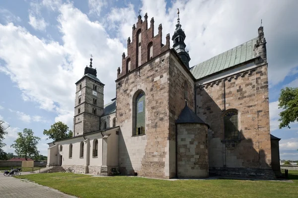 Saint martin's church i opatow, Polen — Stockfoto