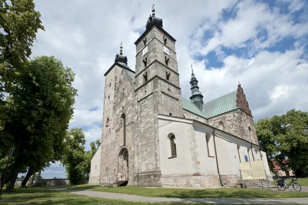Saint Martin's Church in Opatow, Poland — Stock Photo, Image