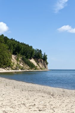 Cliff on the Gdynia Orlowo seaside clipart