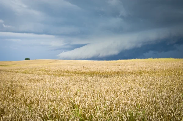 Paisaje ecológico con tormenta — Foto de Stock