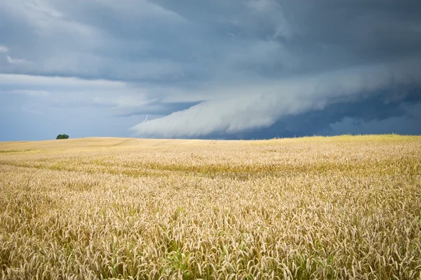 Paisaje ecológico con tormenta —  Fotos de Stock