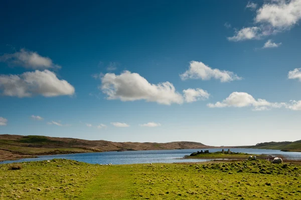 Eilean Mor Loch Finlaggan Obrazy Stockowe bez tantiem