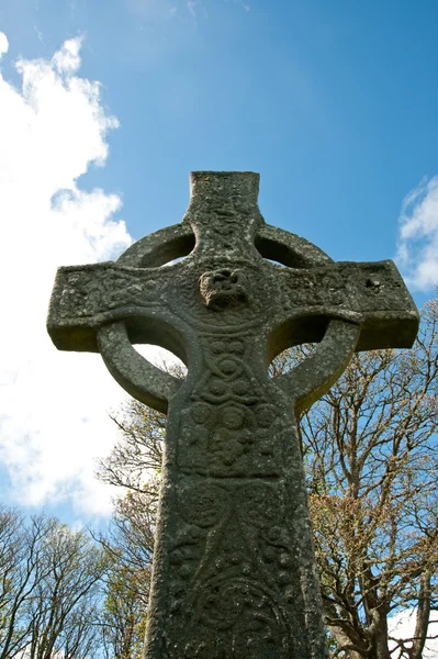 Килдальтонский крест — стоковое фото