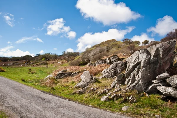 Islay carretera y campo — Foto de Stock