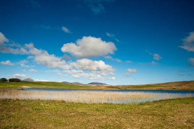 Eilean Mor Loch Finlaggan