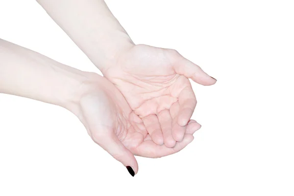 stock image Empty open woman's hands isolated on white