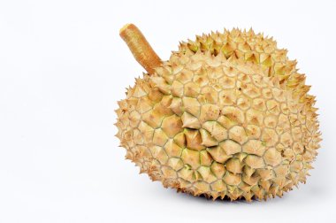 Durian