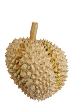 Durian