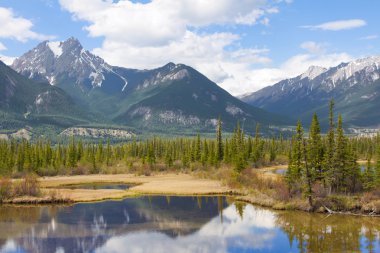 güzel Kanada manzara dağlar, göl ve köknar ağaçları