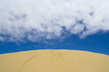 kum tepeleri, doksan kilometre beach, Yeni Zelanda