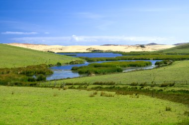 Yeni Zelanda manzara