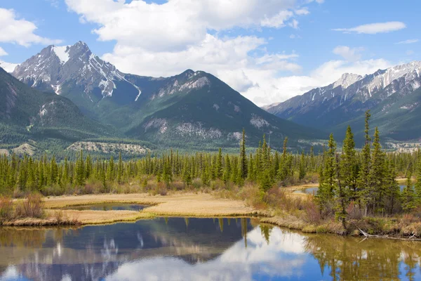 Wunderschöne kanadische Landschaft mit Bergen, See und Tannen — Stockfoto