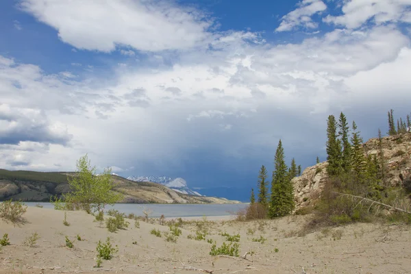 Jasper lake, Kanada — Stockfoto