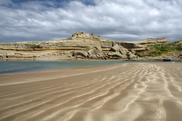 stock image East coast of New Zealand at low tide. Wavy pattern on the wet s