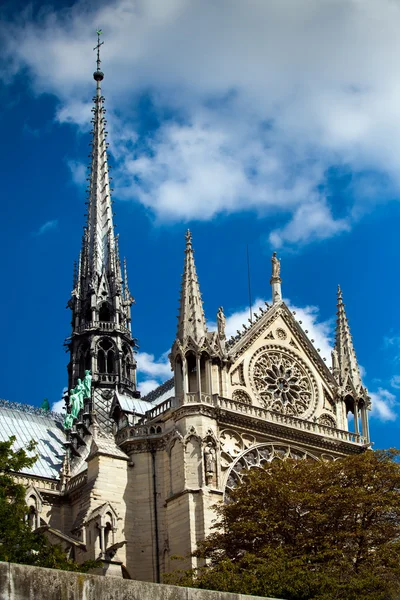 Notre-Dame de paris, paris, france — Photo