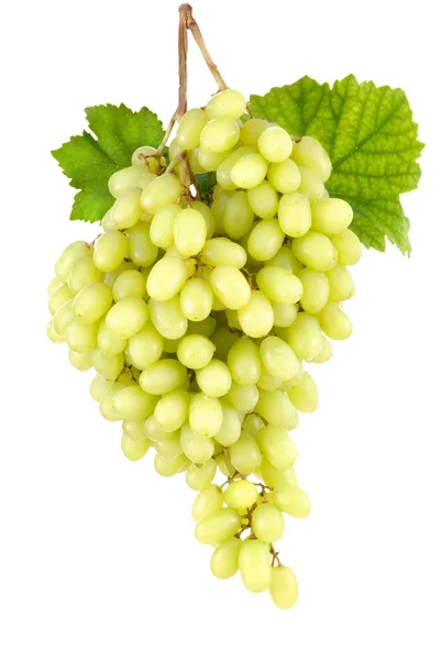 Uvas verdes sem sementes doces em branco — Fotografia de Stock