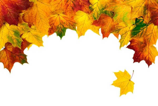 Podzimní listí, budování obloukovitě vyhnuty hranice — Stock fotografie