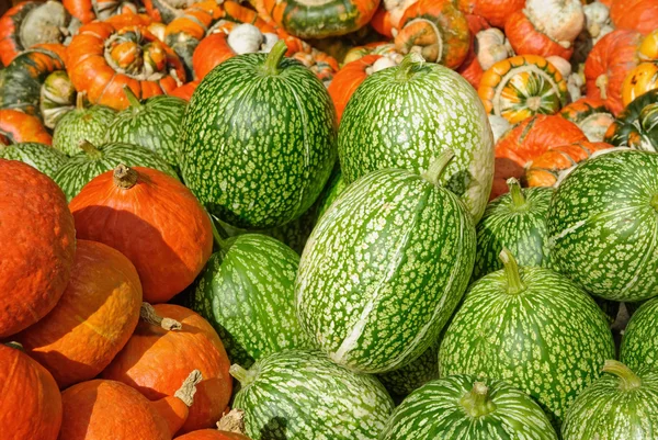 Stapels van groen en oranje pumpkins — Stockfoto