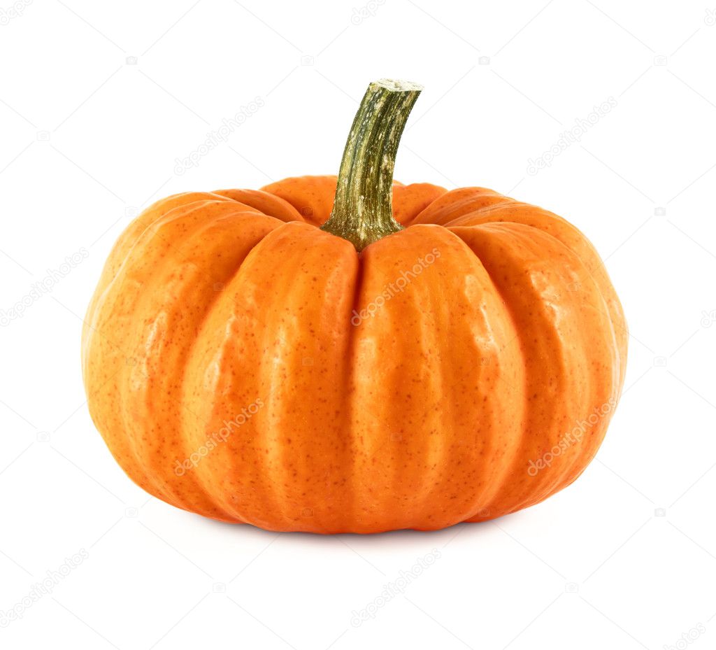 Neat pumpkin on white