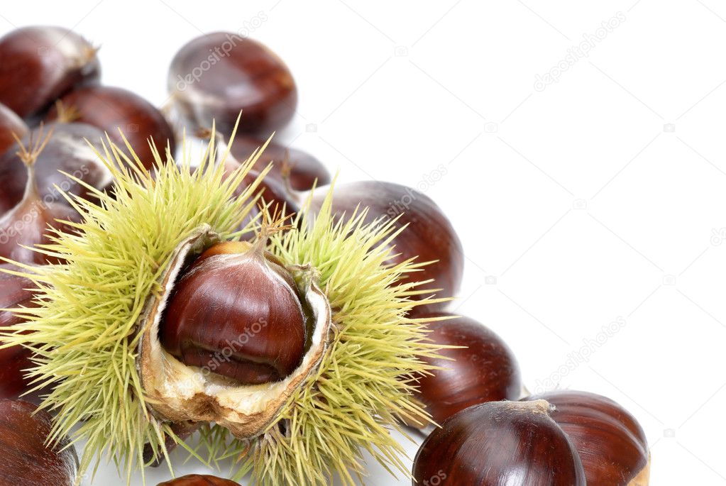 Fresh sweet chestnuts on pure white