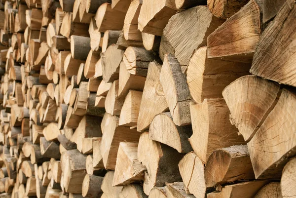 Large pile of firewood — Stock Photo, Image