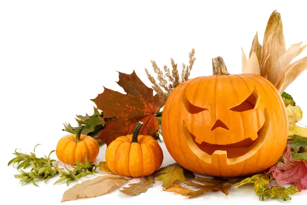 Halloween arrangemang på vitt med copyspace — Stockfoto