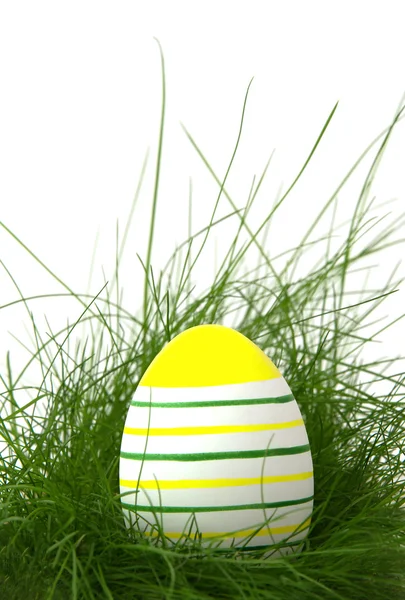 Полосатое пасхальное яйцо в зеленой траве — стоковое фото