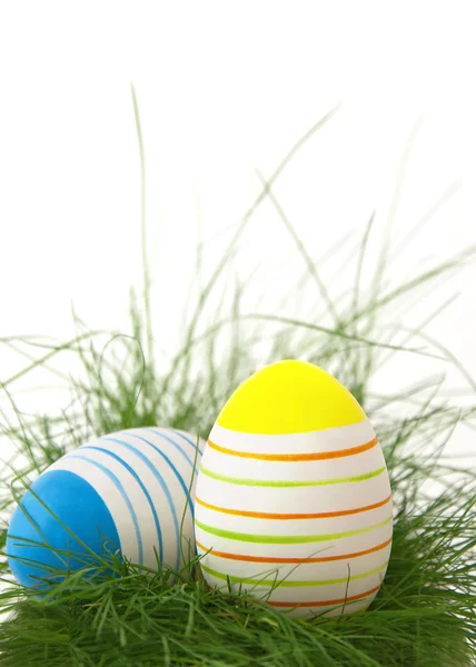 Uova di Pasqua in erba verde — Foto Stock