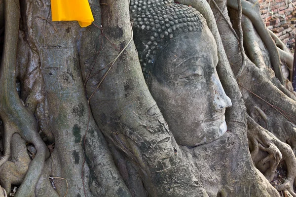 Kopf des Sandstein-Buddha-Bildes — Stockfoto